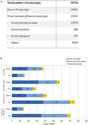 Transcriptome Profiles of Human Visceral Adipocytes in Obesity and Colorectal Cancer Unravel the Effects of Body Mass Index and Polyunsaturated Fatty Acids on Genes and Biological Processes Related to Tumorigenesis